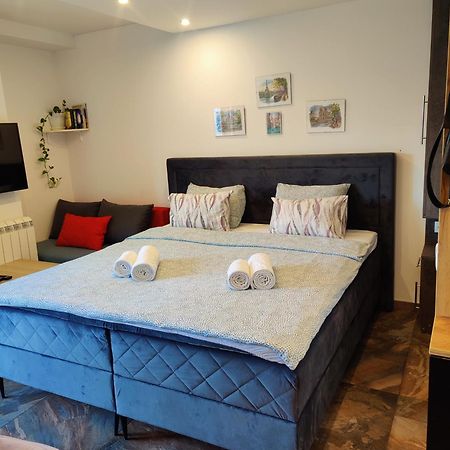 Kala Apartment Nowy Sad Zewnętrze zdjęcie