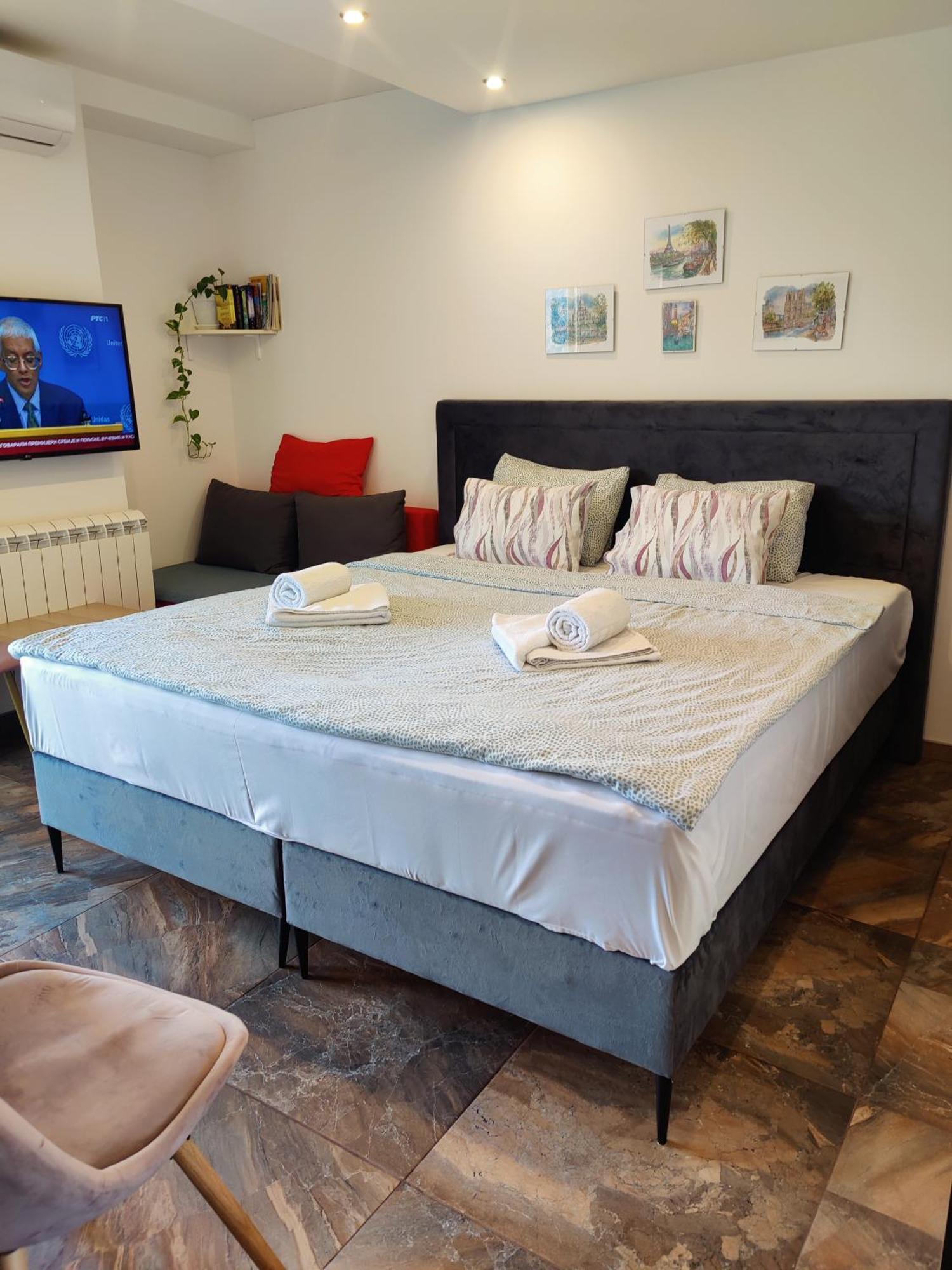 Kala Apartment Nowy Sad Zewnętrze zdjęcie